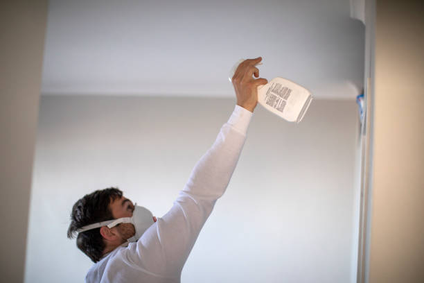 Best Affordable Mold Removal  in Delphos, OH