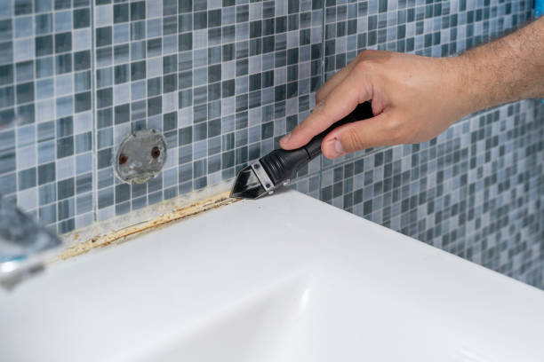 Trusted Delphos, OH Mold Removal Experts