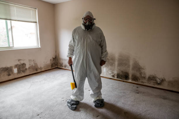 Best Commercial Mold Removal  in Delphos, OH